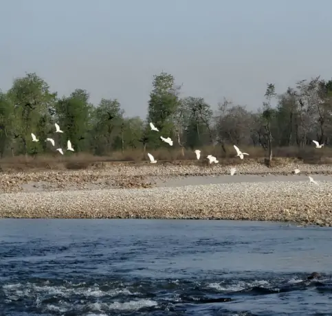 river