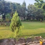 Garden in Rishikesh