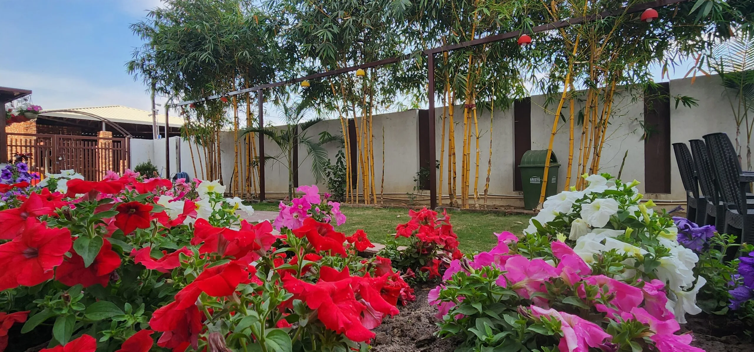 20230303 160257 scaled