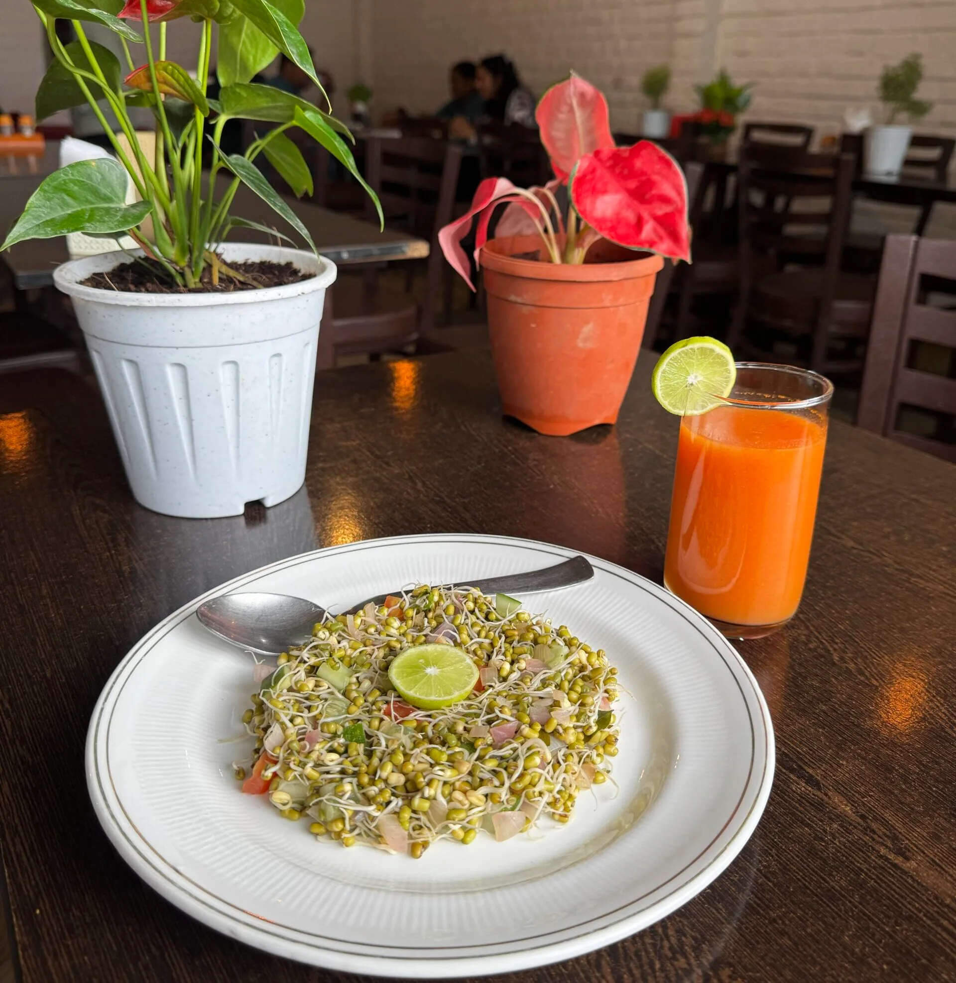 IMG 6354 scaled e1767693364778