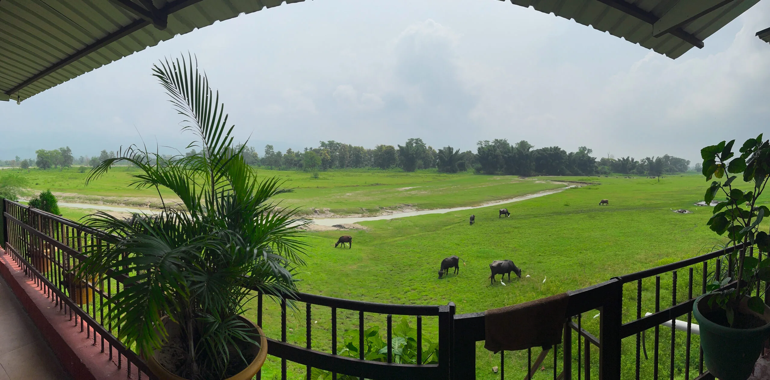 Yan Cure Rishikesh Outside Images 2 scaled