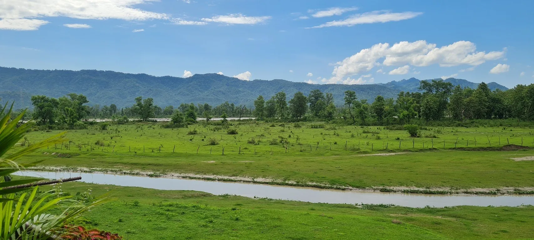 Yan Cure Rishikesh Outside Images 8