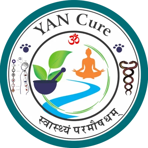 Yancure logo